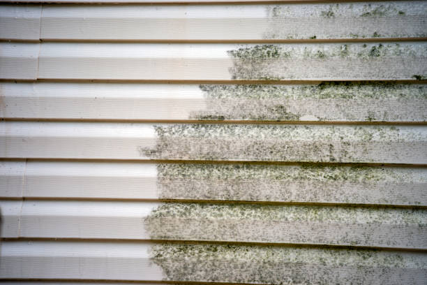 Affordable siding repair and maintenance services in Erda, UT